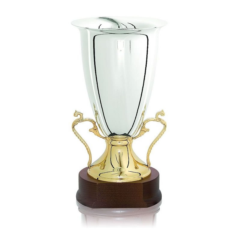 12.5in Silver & Gold Plated Urn Shape Trophy - Awards Trophies Supplier