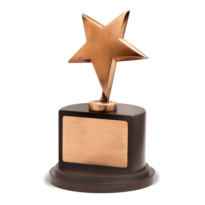 Bronze Star Award with Custom Engraving Awards Trophies Supplier
