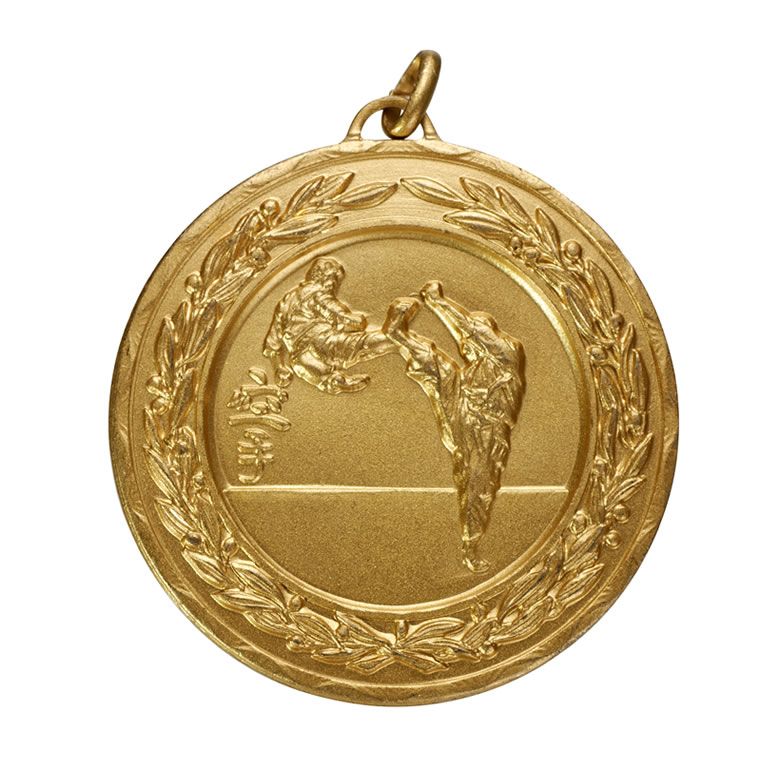 50mm Gold Martial Arts Medal with Free Engraving Awards Trophies Supplier