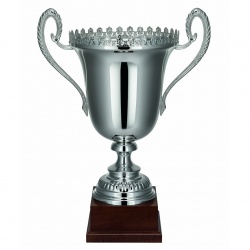 Silver Trophy Cup with Decorative Rim 1903