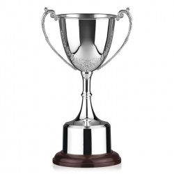 12in Silver Trophy 508