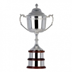 14in Silver Trophy BD644