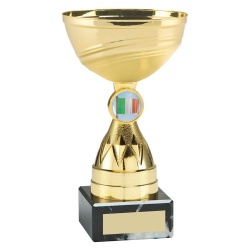 Gold Colour Trophy with Diamond Stem & Irish Flag Insert
