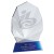 Clear & Blue Crystal Award AC132