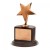 Polished Bronze Star Award BG003