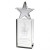 Clear Glass Block with Star Award