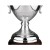Handchased Silver Trophy L100