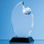 Optical Crystal Globe Award Mounted on an Onyx Black Base