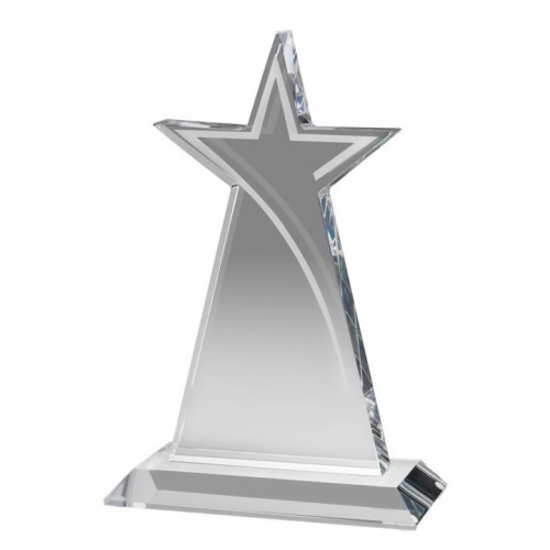 Frosted Glass Star Swoosh Award