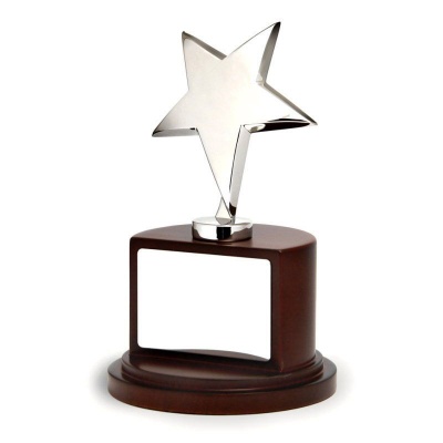 Silver Plated Star Award BG002