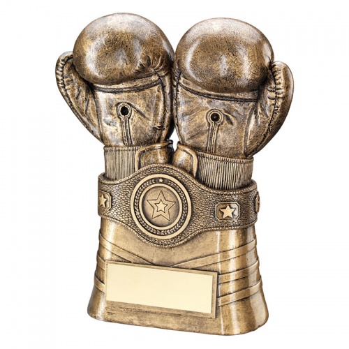 Resin Bronze Boxing Gloves Trophy