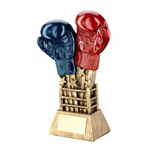Boxing Gloves and Ring Trophy