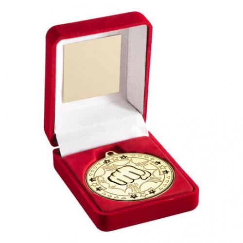 Gold Martial Arts Medal in Red Presentation Case