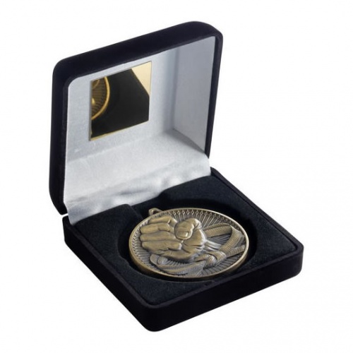 Gold Martial Arts Medal in Black Case