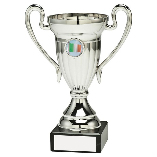 Silver Coloured Trophy Cup with Irish Flag Insert
