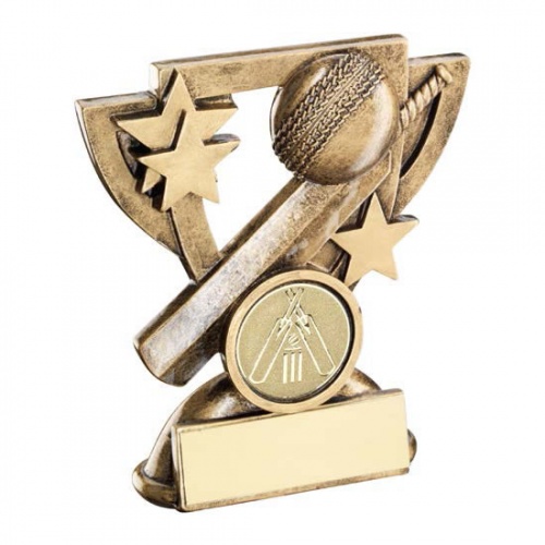 Resin Cricket Shield Award RF812