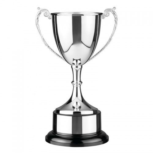 Silver Plated Trophy PAT3