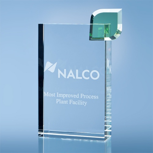 17cm Optical Crystal Eco Excellence Award with a Single Green Leaf