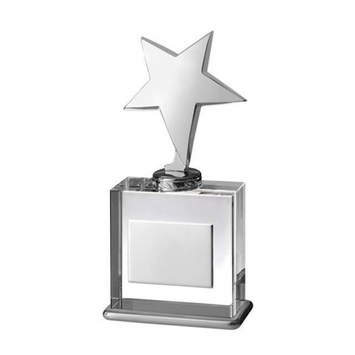 Clear Glass Star Award TZ018