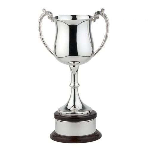 Silver Trophy UPP544