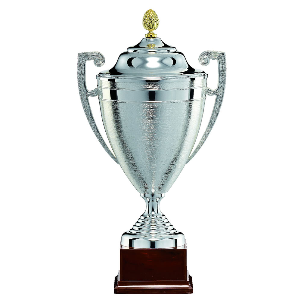Brushed Metal Silver Trophy 1337 Awards Trophies Supplier