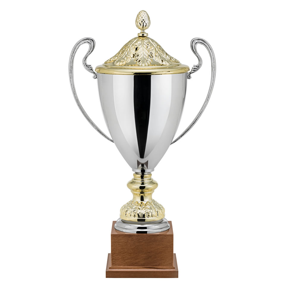 Silver & Gold Plated Trophy Cup 1633 Awards Trophies Supplier