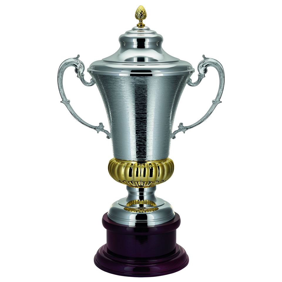 Silver Trophy on Circular Plinth 1875 Awards Trophies Supplier