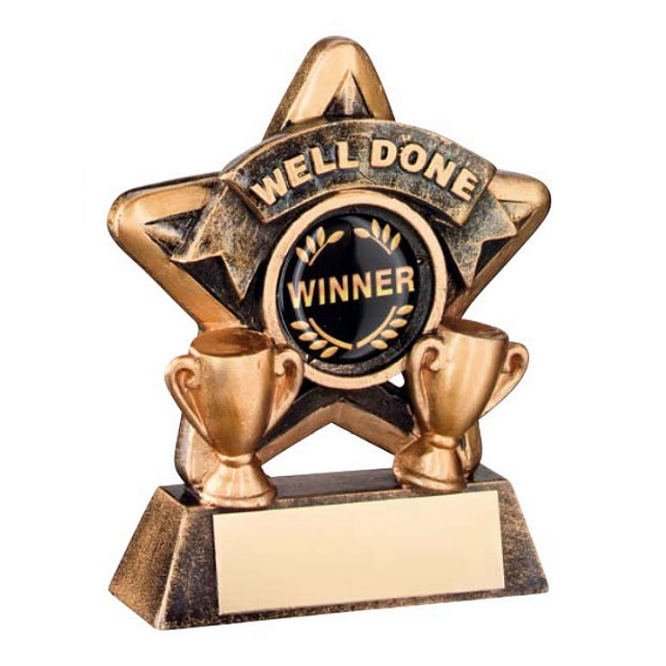 Well Done Trophy Mini Star in Bronze & Gold Awards Trophies Supplier