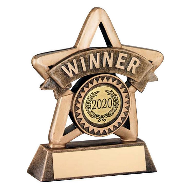 Gold Star Winner Trophy 4.25in Resin with Base Plaque Awards Trophies