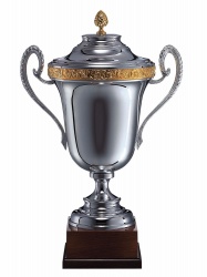 Large Silver & Gold Trophy 1021