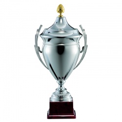 Silver & Gold Lidded Trophy Cup 1201