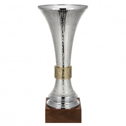 Textured Silver Vase Trophy 1795