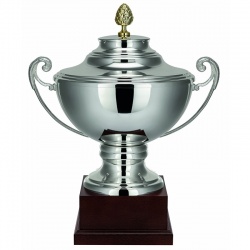 Lidded Silver Trophy Cup on Square Base 1895