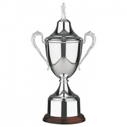 The Links Award Golf Trophy