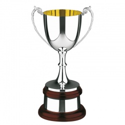 Gold Interior Trophy 488