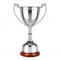 Silver Trophy 55