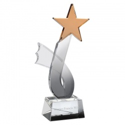 Glass Swoosh Star Award