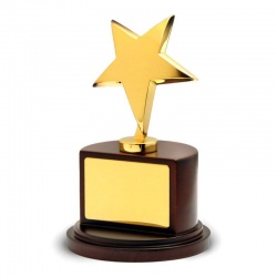 Gold Plated Star Award BG001