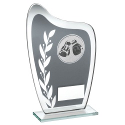 Boxing Glass Plaque Trophy in Grey & Silver