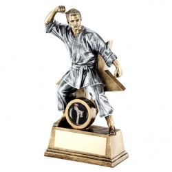 Resin Male Martial Arts Star Figure Trophy