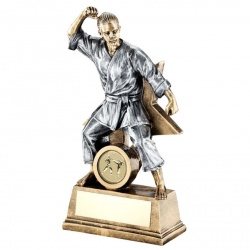 Martial Arts Trophy in 3 Sizes with FREE Engraving up to 30 Letters RF15A 