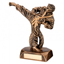 Resin Male martial Arts Figure Trophy