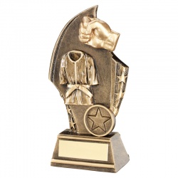 Martial Arts Trophy in 3 Sizes with FREE Engraving up to 30 Letters RF15A 