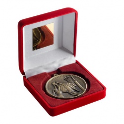 Netball Gold Medal in Red Presentation Case