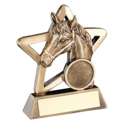 4.25in Resin Equestrian Star Trophy