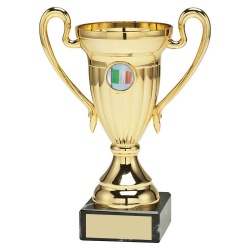 Gold Coloured Trophy Cup with Irish Flag Insert