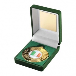 Irish Four Provinces Gold Medal in Presentation Case