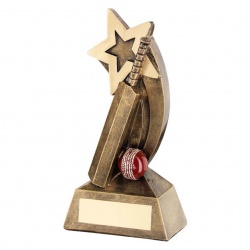 Resin Cricket Bat Star Award