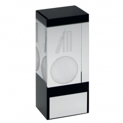 Clear & Black Glass Block with Cricket Motif