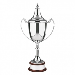 15.5in Silver Trophy L486